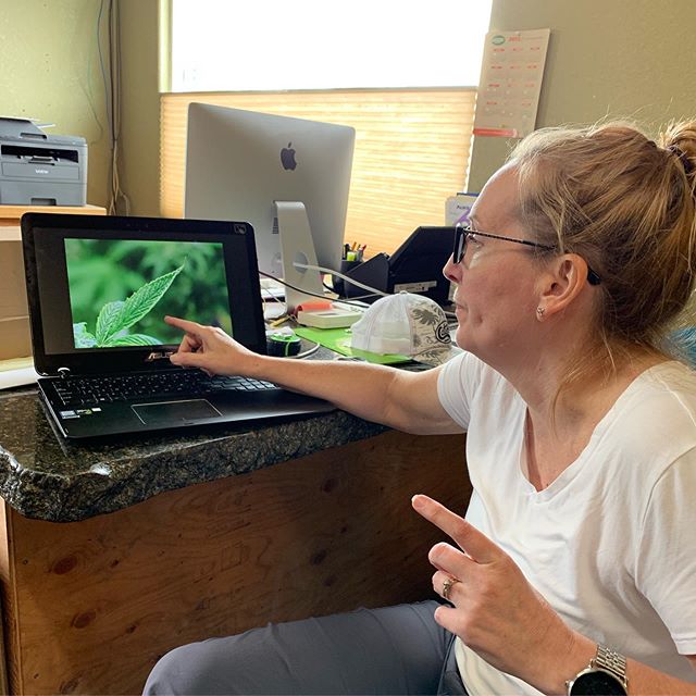 Spark1 - Bozeman Website