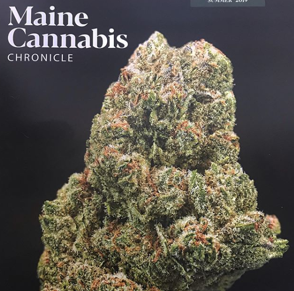 Paul's Boutique Nursery Cannabis Company Details Infuzes