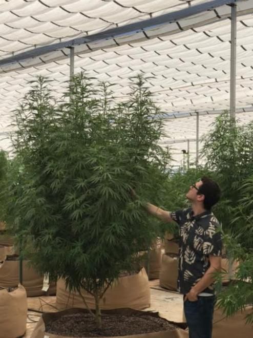 Encanto Dispensary Website