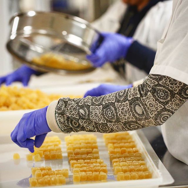 Elefante Inc Website