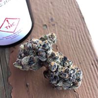 Diego Pellicer - South Denver Website