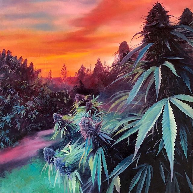 Curaleaf - Auburn Website