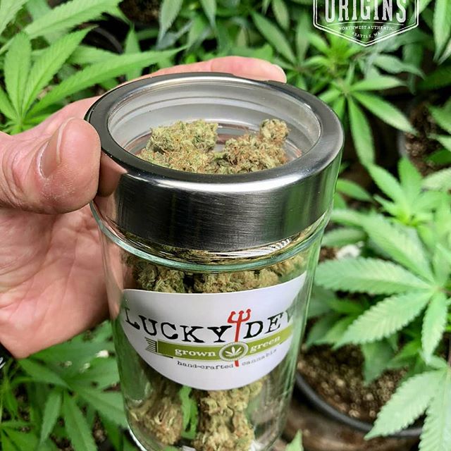 Origins - West Seattle Website