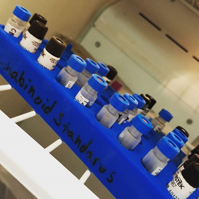 The Sequoyah Group, LLC Website