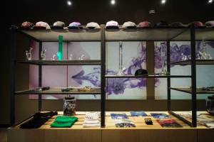 Altitude East Denver Website