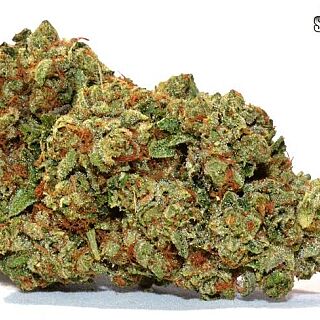 Smoakland - San Ramon Website