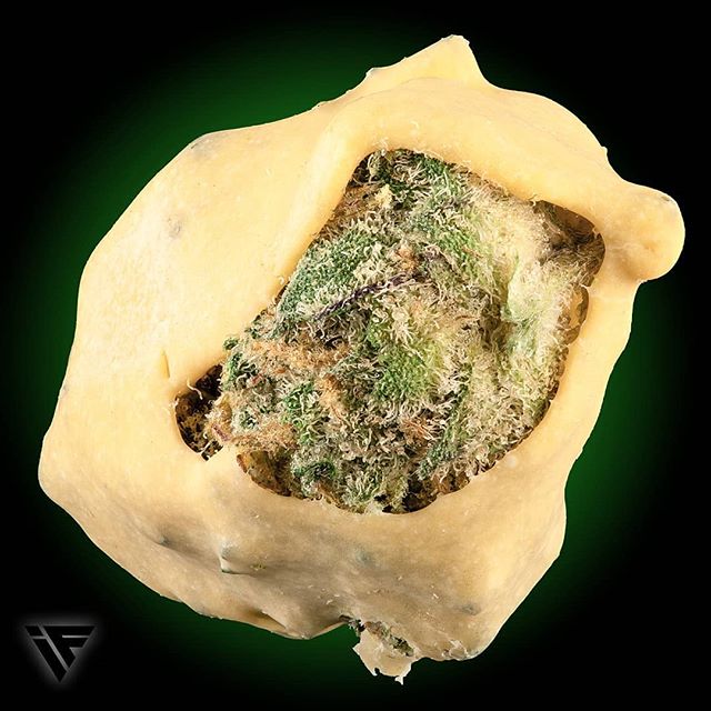 Fillabong - Silverdale Website