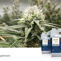 Remo Nutrients Website