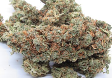 Selmer Farms Website