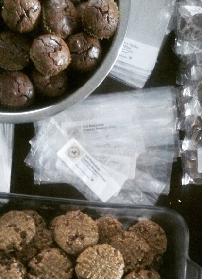 Jade Lion Gardens - Berkeley Website