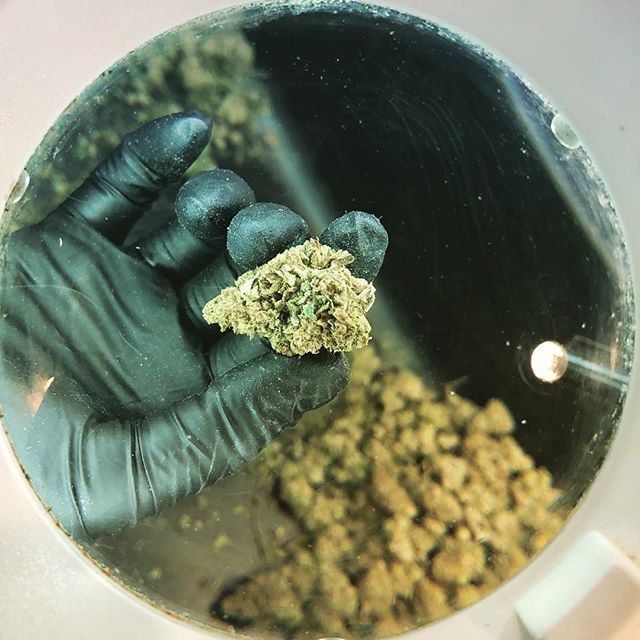 Everest Apothecary - Northeast Heights Website