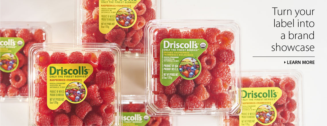 WS Packaging Group, Inc. Website