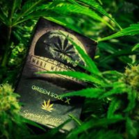 Mary Moonlight Website