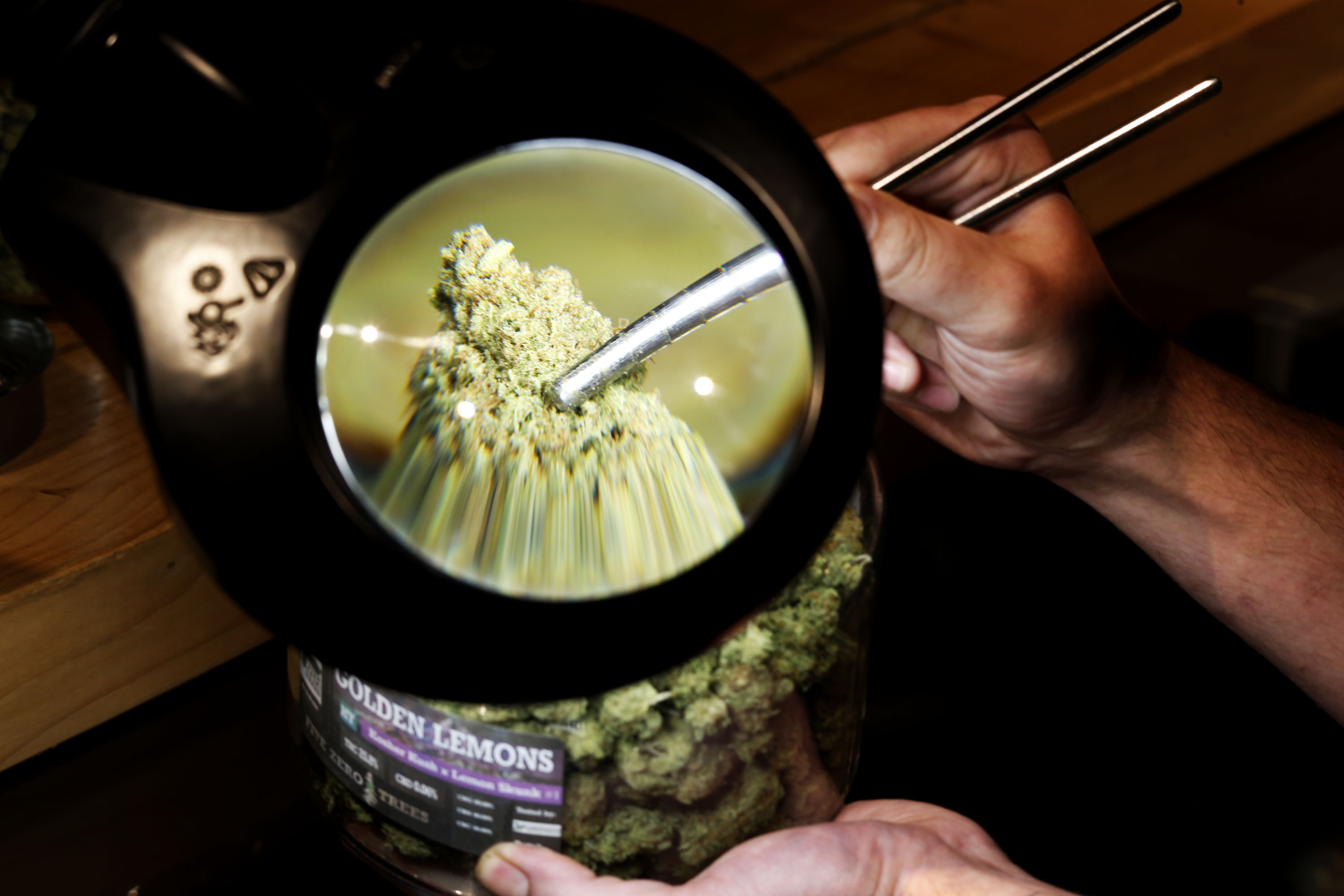 Five Zero Trees West Website