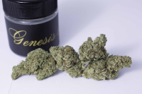 Tortoise & Hare Delivery Services Website