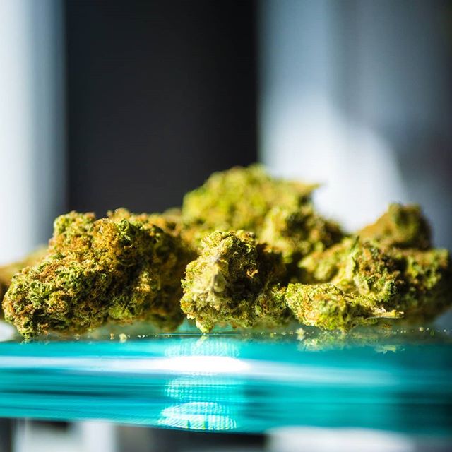 Trees Waterfront Website