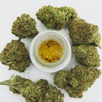 Diego Pellicer - South Denver Website