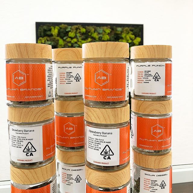 Synergy Redding Website