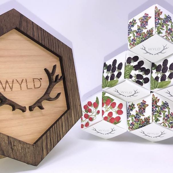 Dixon Wellness Website