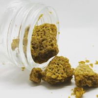 Diego Pellicer - South Denver Website