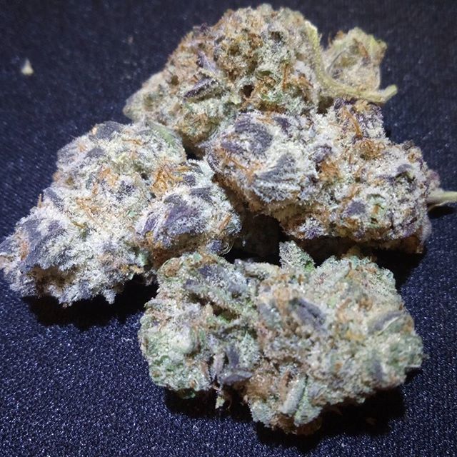 Budlandia - Division St. Website