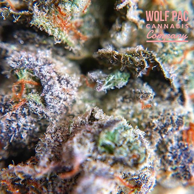 Wolf Pac Cannabis - Federal Blvd Website