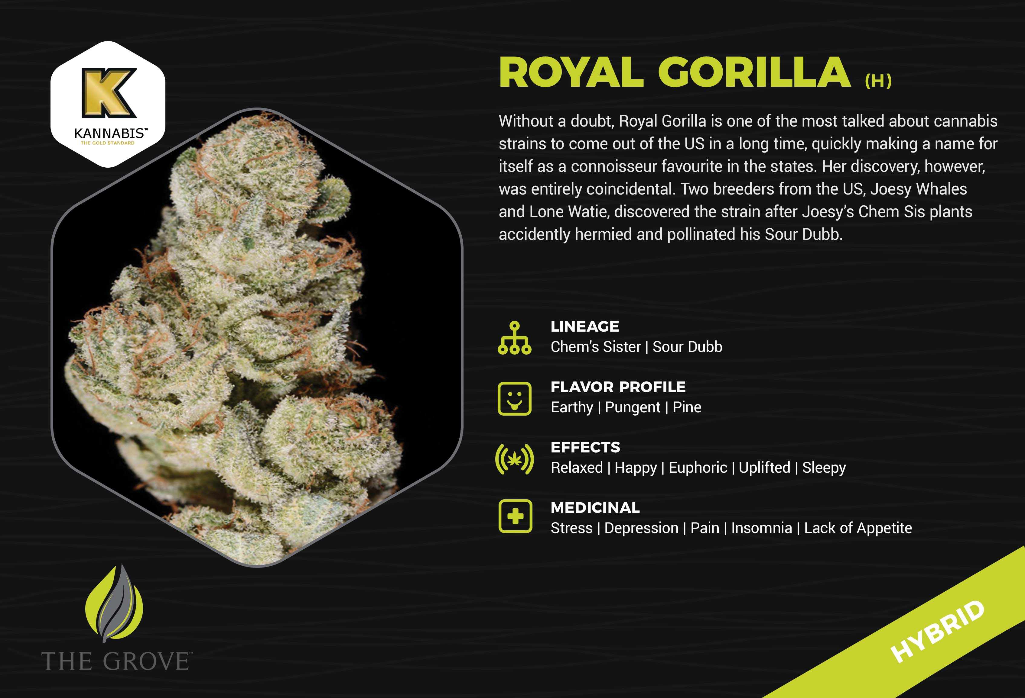 The Grove - Las Vegas Website