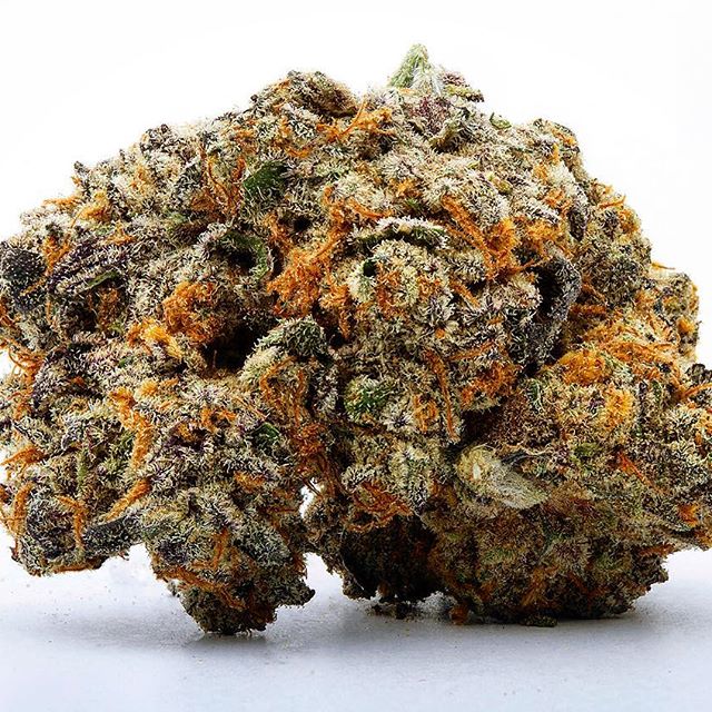 Shango Win Sivers "Airport" Website