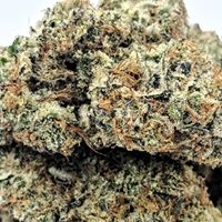 New MexiCann Website