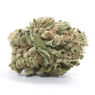 Lit Delivery Service Website