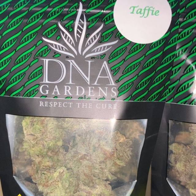 Kush21 - Pullman Website