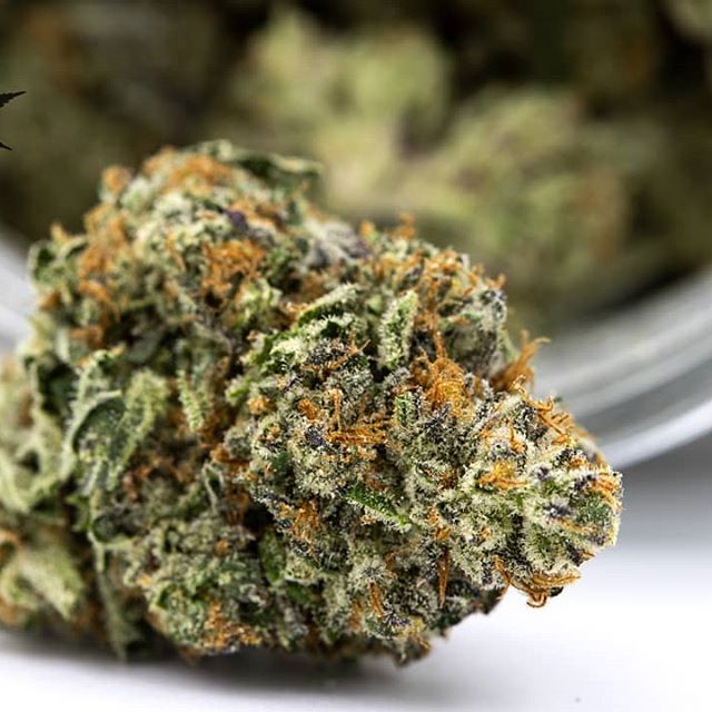 Urban Dispensary Website