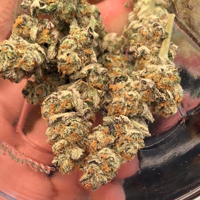 Grass Monkey Cannabis Company Website