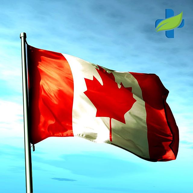 Natural Health Services - Edmonton Website