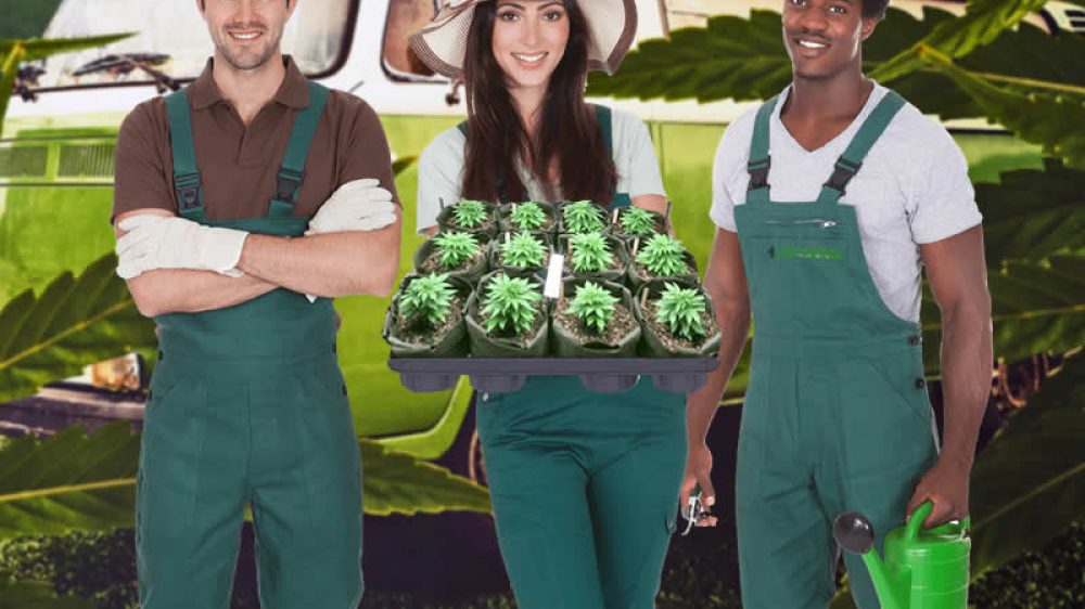 Rocky Mountain Blaze Website