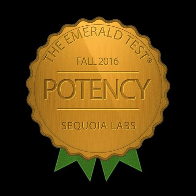 The Sequoyah Group, LLC Website