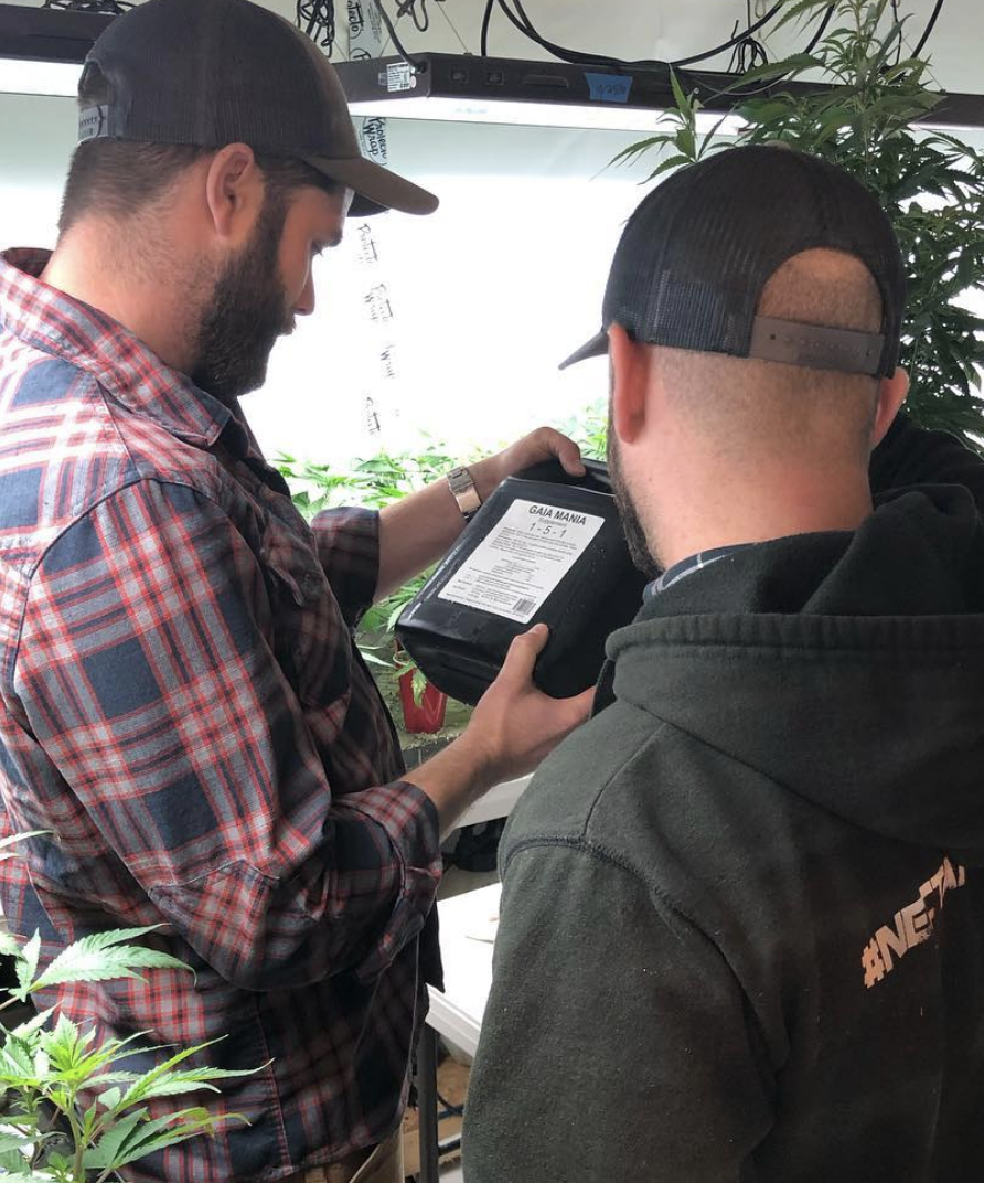 Maine Cannabis Exchange Website