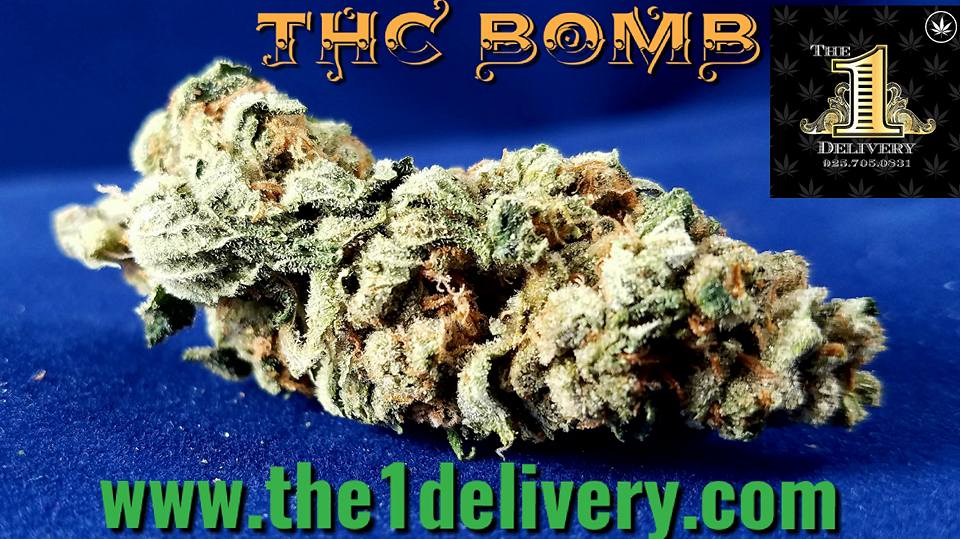 The 1 Delivery Service - Concord Website