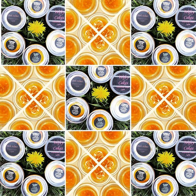 Canopy Health and Wellness Website