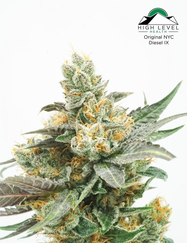 High Level Health - Lincoln (REC) Website