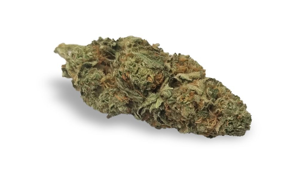 Nature's Medicines - Fall River Website