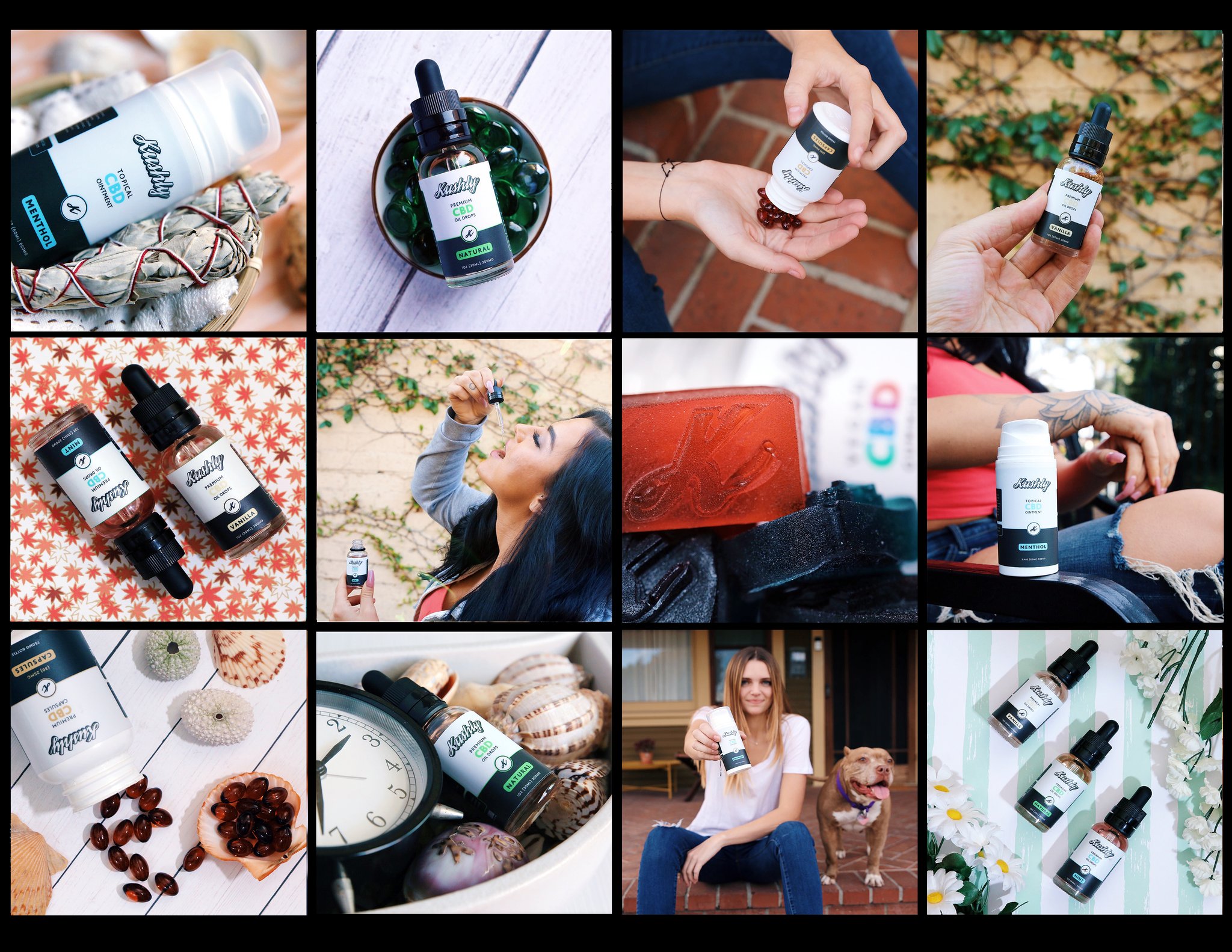 The High Rise Website