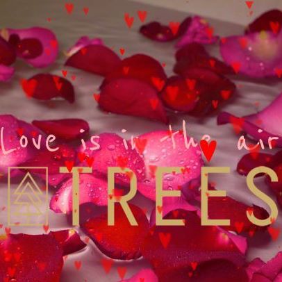 Trees Waterfront Website