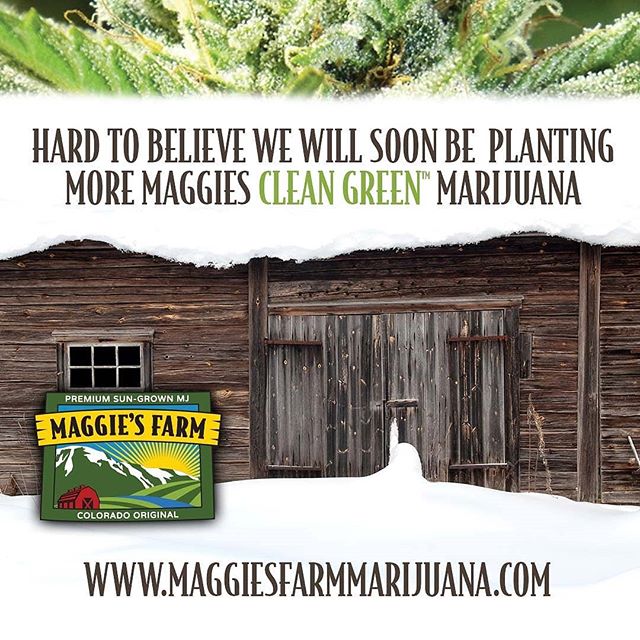 Maggie's Farm - Pueblo North Website