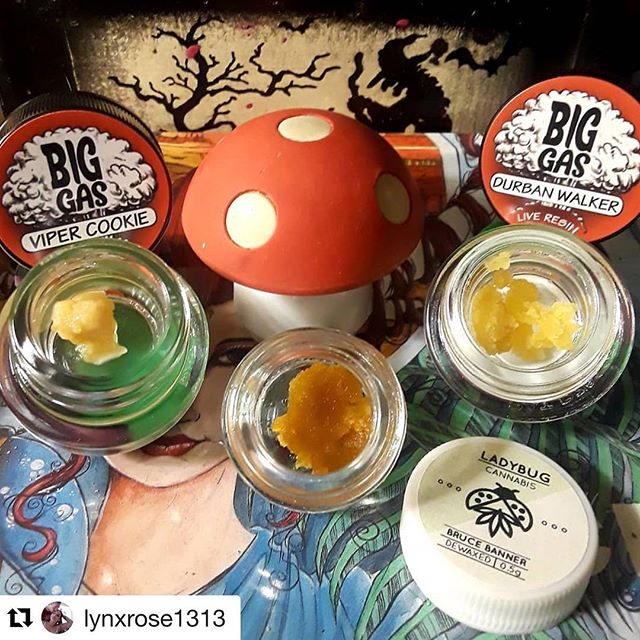 GREEN ACRES WELLNESS CENTERS Website