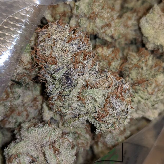 Medicinal Oasis - Recreational Website