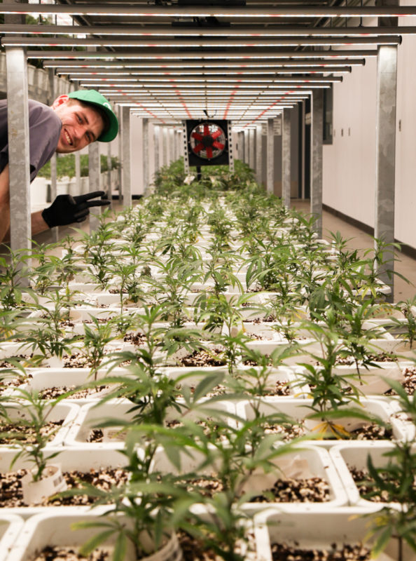 RISE - Amherst Website