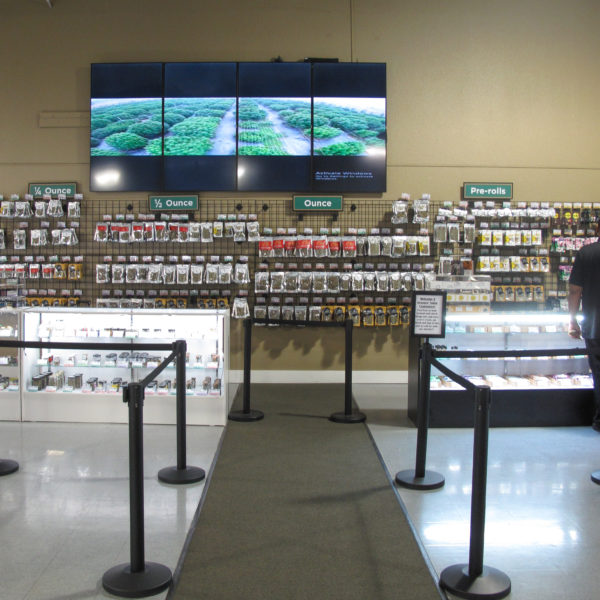 A Greener Today - Walla Walla Website