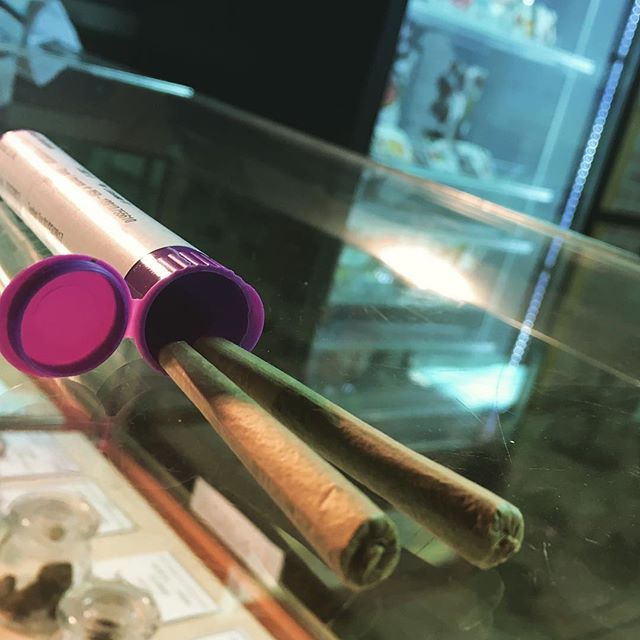 Green Oasis NE Website