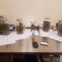 Tortoise & Hare Delivery Services Website